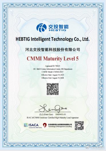 成功躋身國際軟件研發管理領域的戰略路徑與實踐啟示
