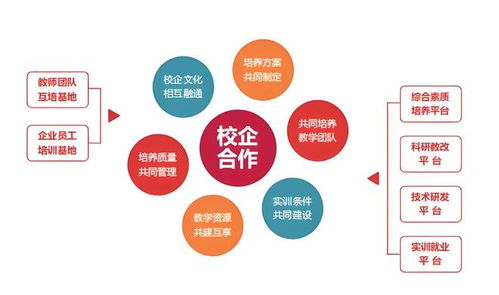 智慧職校建設新思路 職業教育信息化實踐指南與信息技術咨詢服務